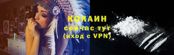 СК Гусев