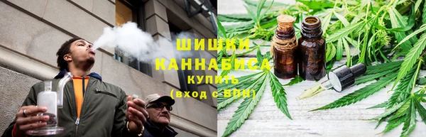 МДПВ Осинники